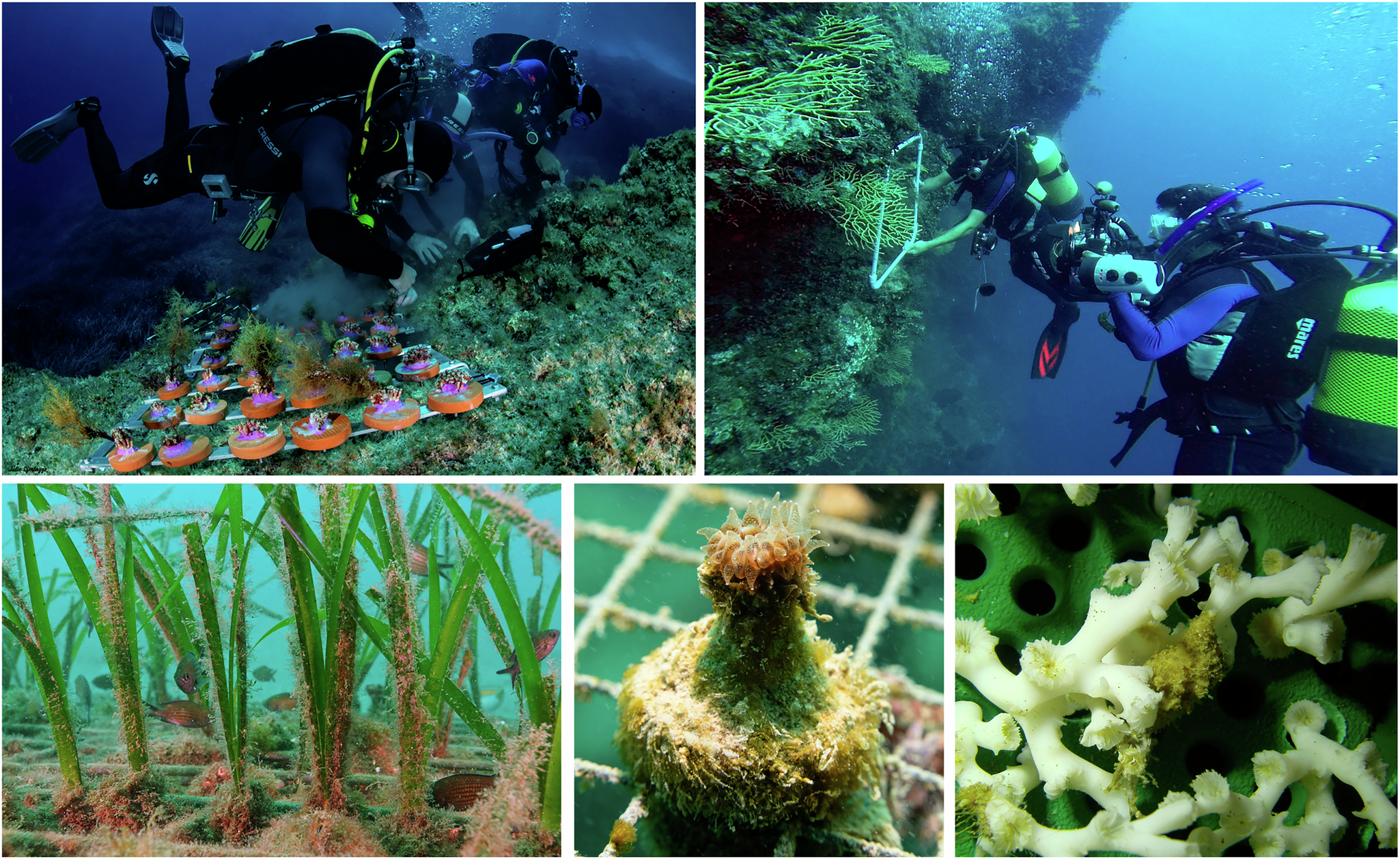 البيئة البحرية